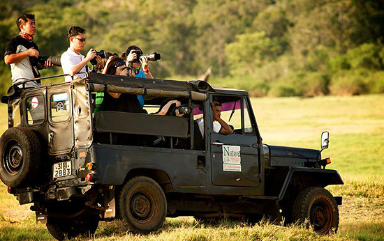 Safari Tour at Yala National Park