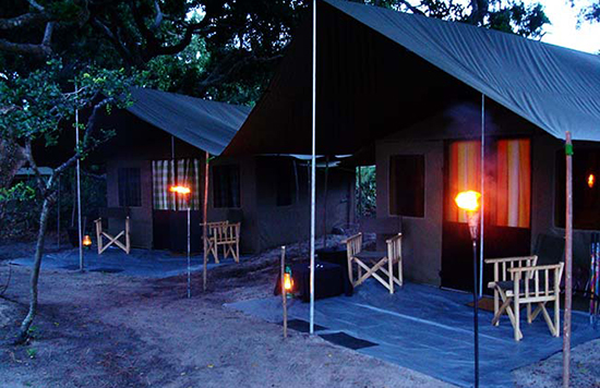 Tented Safari Camping at Yala National Park