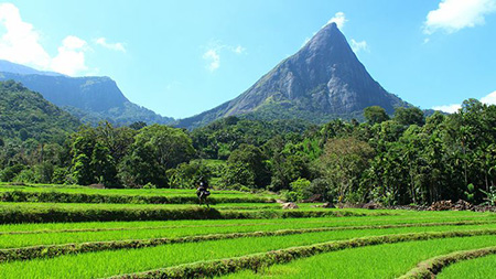 Sri Lanka Knuckle Mountain Range