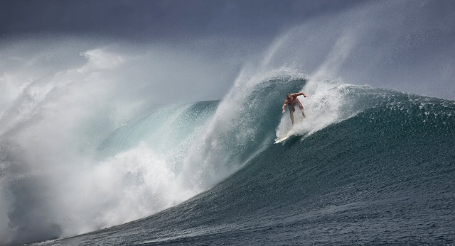 surfer on a large wave